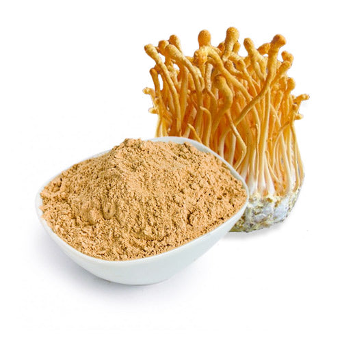 Benefits of Cordyceps Mushroom Powder: Enhanced Respiratory Health