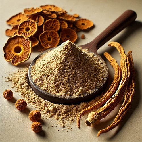 Benefits of Cordyceps Mushroom Extract Powder - Wholesale B2B Bulk Suppliers