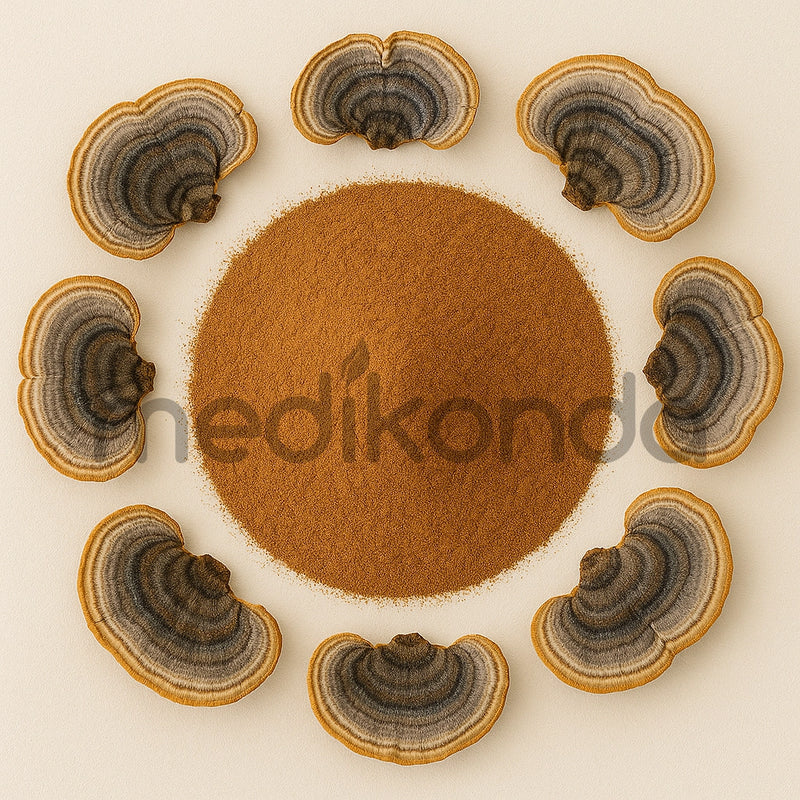Benefits of Coriolus Mushroom powder - Wholesale B2B Bulk Suppliers