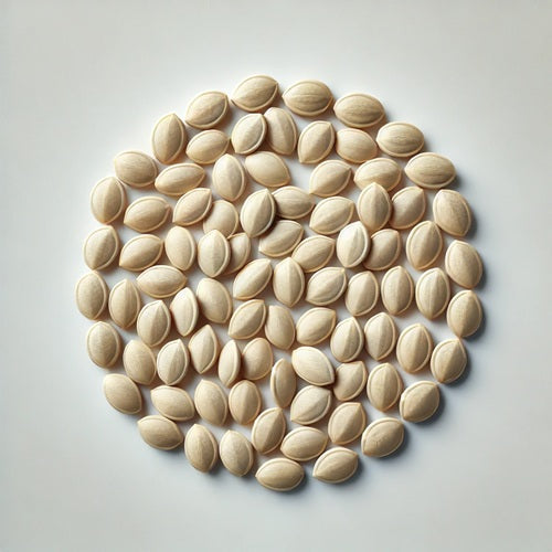 Benefits of Cucumber seeds - Wholesale B2B Bulk Suppliers in Europe
