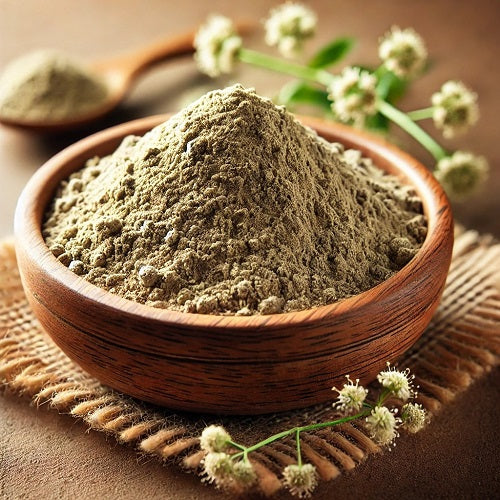Benefits of Davana Powder - Wholesale B2B Bulk Suppliers