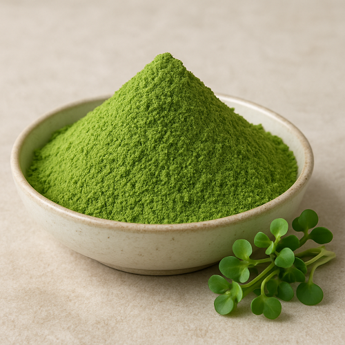 Benefits Of Freeze Dried Broccoli Sprout Powder  - Wholesale B2B Bulk Suppliers