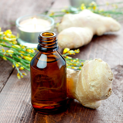 Benefits of Ginger Essential Oil - Wholesale B2B Bulk Suppliers in Europe