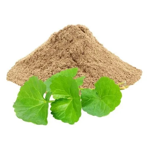 Benefits of Gotu kola Powder - Wholesale B2B Bulk Suppliers in USA