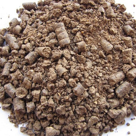 Benefits of Peanut Cake De Oiled Protein Powder - Wholesale B2B Bulk Suppliers in USA