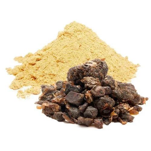 Benefits of Guggul Extract Powder - Wholesale B2B Bulk Suppliers in USA