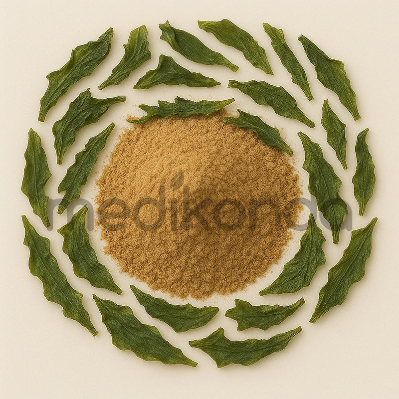 Where to Buy the Best Kombucha Probiotic Powder Online: Why Medikonda Stands Out