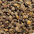 A Beginner’s Guide to Buying Hawaiian Baby Wood Rose Seeds Online (Why Medikonda.com Is #1)