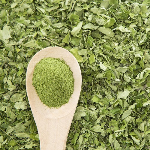 Benefits of Moringa Leaf Powder - Wholesale B2B Bulk Suppliers in Europe