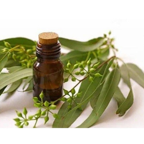 Benefits of Narrow Leaf Essential Oil - Wholesale B2B Bulk Suppliers