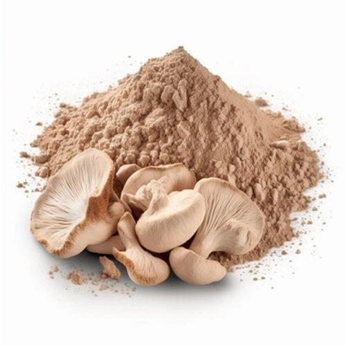 Benefits of Oyster Mushroom Powder - Wholesale B2B Bulk Suppliers in USA