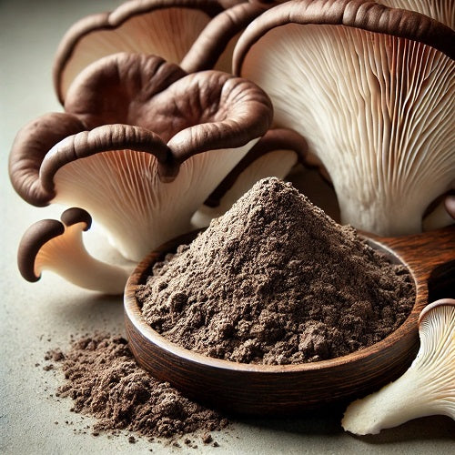 Benefits of Oyster Mushroom Extract Powder - Wholesale B2B Bulk Suppliers
