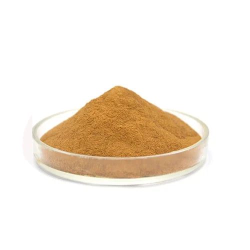 Benifits Of Peepal Leaf Extract Powder - Wholesale B2B Bulk Suppliers in USA