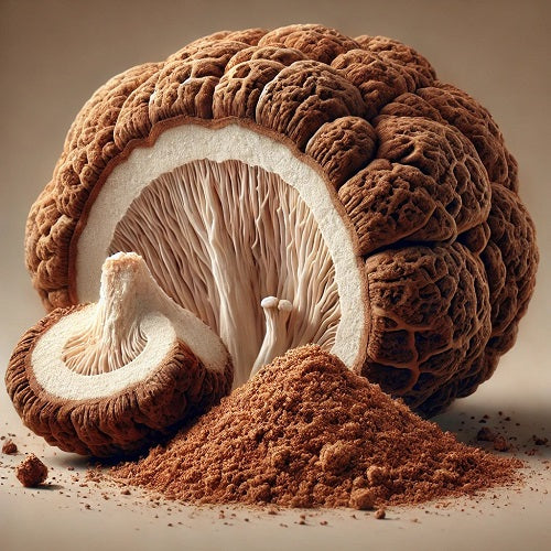 Benefits of Poria Mushroom Extract Powder - Wholesale B2B Bulk Suppliers