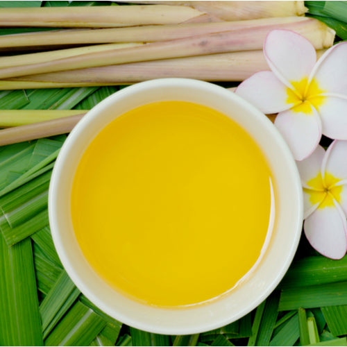 Benefits of Citronella Essential Oil - Wholesale B2B Bulk Suppliers in USA