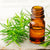Benefits of Tea Tree Essential Oil - Wholesale B2B Bulk Suppliers in USA
