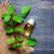 Benefits of Peppermint Essential Oil - Wholesale B2B Bulk Suppliers in USA