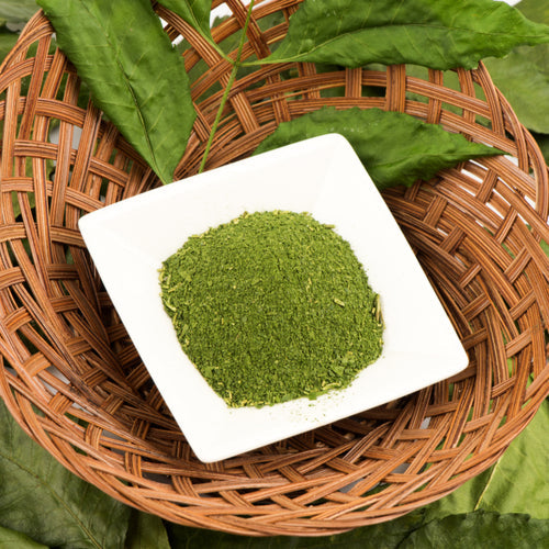 Benefits of Senna Leaf Powder - Wholesale B2B Bulk Suppliers in USA