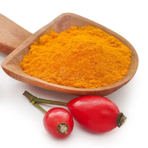 Benefits of Rosehip Powder - Wholesale B2B Bulk Suppliers
