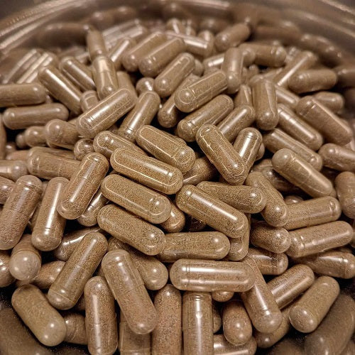 Benefits Of Sheep Sorrel Capsules - Wholesale B2B Bulk Suppliers