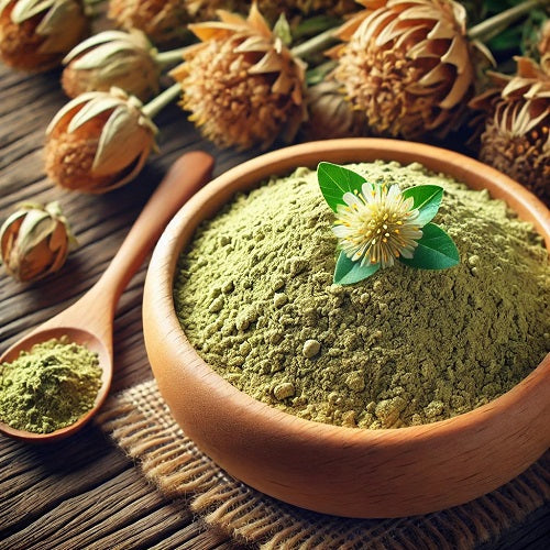 Benefits of Spilanthes Powder - Wholesale B2B Bulk Suppliers