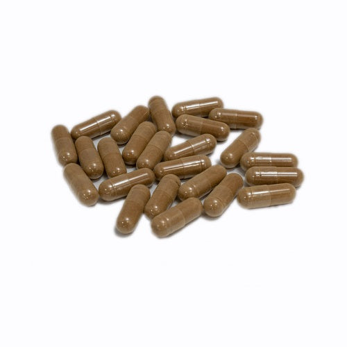 Benefits Of Turkey Tail Capsules - Wholesale B2B Bulk Suppliers