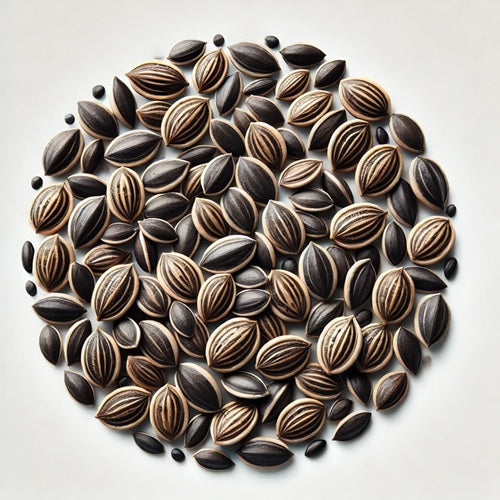 Benefits of Watermelon Seeds - Wholesale B2B Bulk Suppliers in Europe