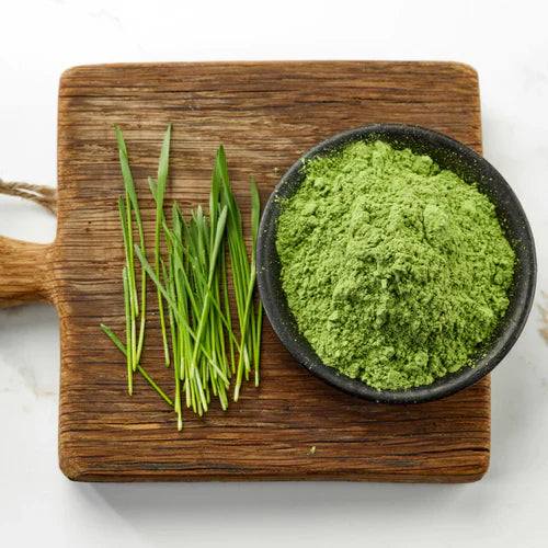 Benefits of Wheatgrass Powder - Wholesale B2B Bulk Suppliers in USA