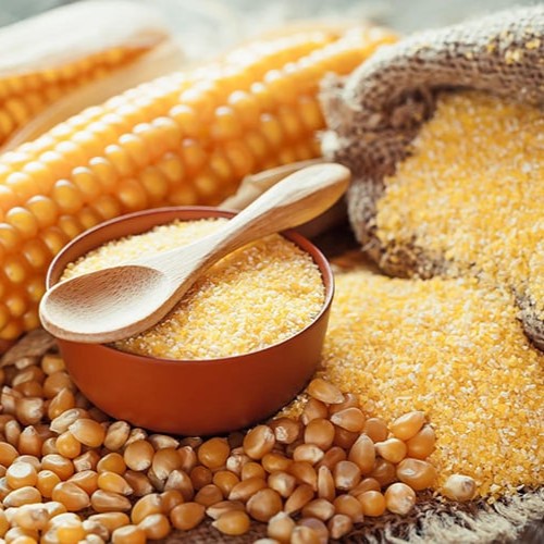 Benefits of Yellow Cornmeal Powder - Wholesale B2B Bulk Suppliers in Europe