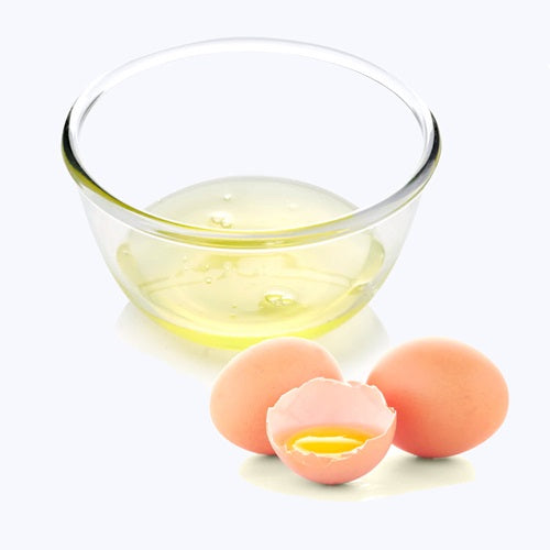 Egg White Liquid