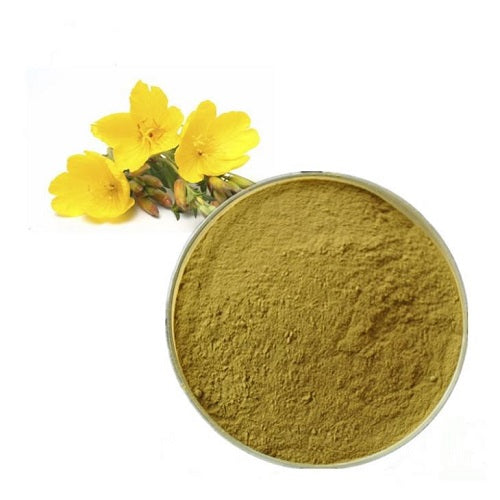Evening-Primrose Extract Powder