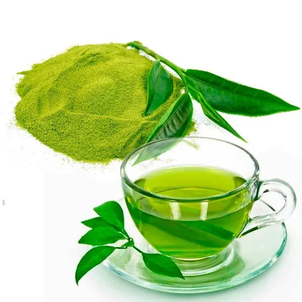 Green Tea Leaves Extract Powder