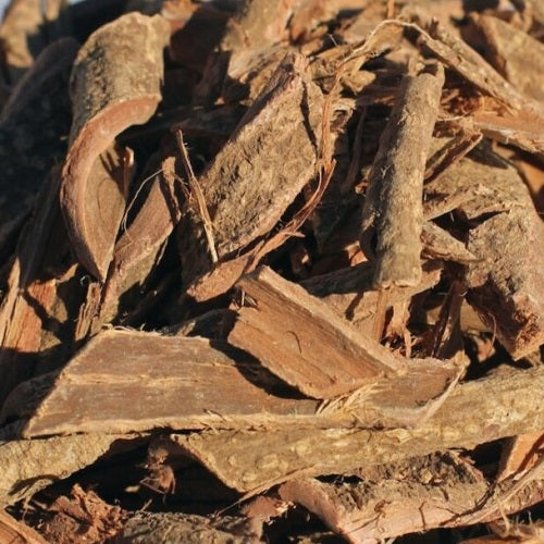 Hawaiian Acacia Confusa Root Bark - Large Pieces