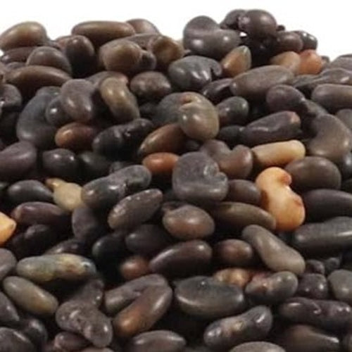 Indrayan Seeds