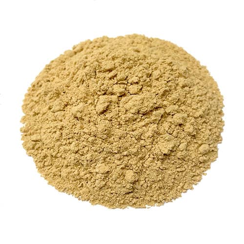 Ivy Gourd Powder