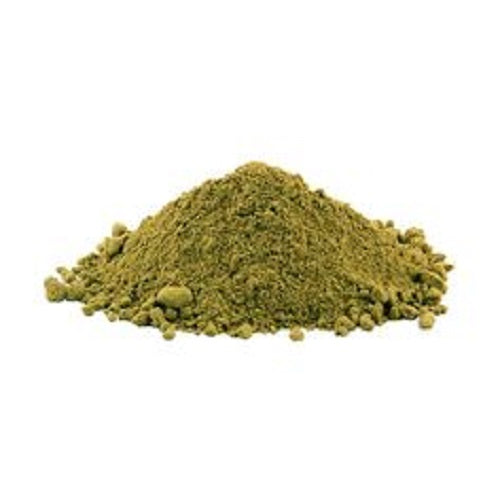 Mistletoe Extract Powder