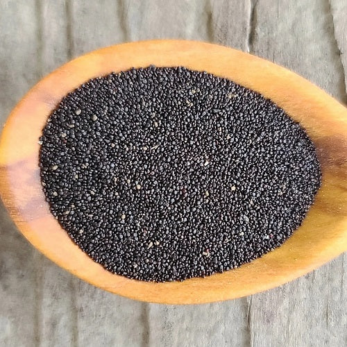 Verdolaga Seeds