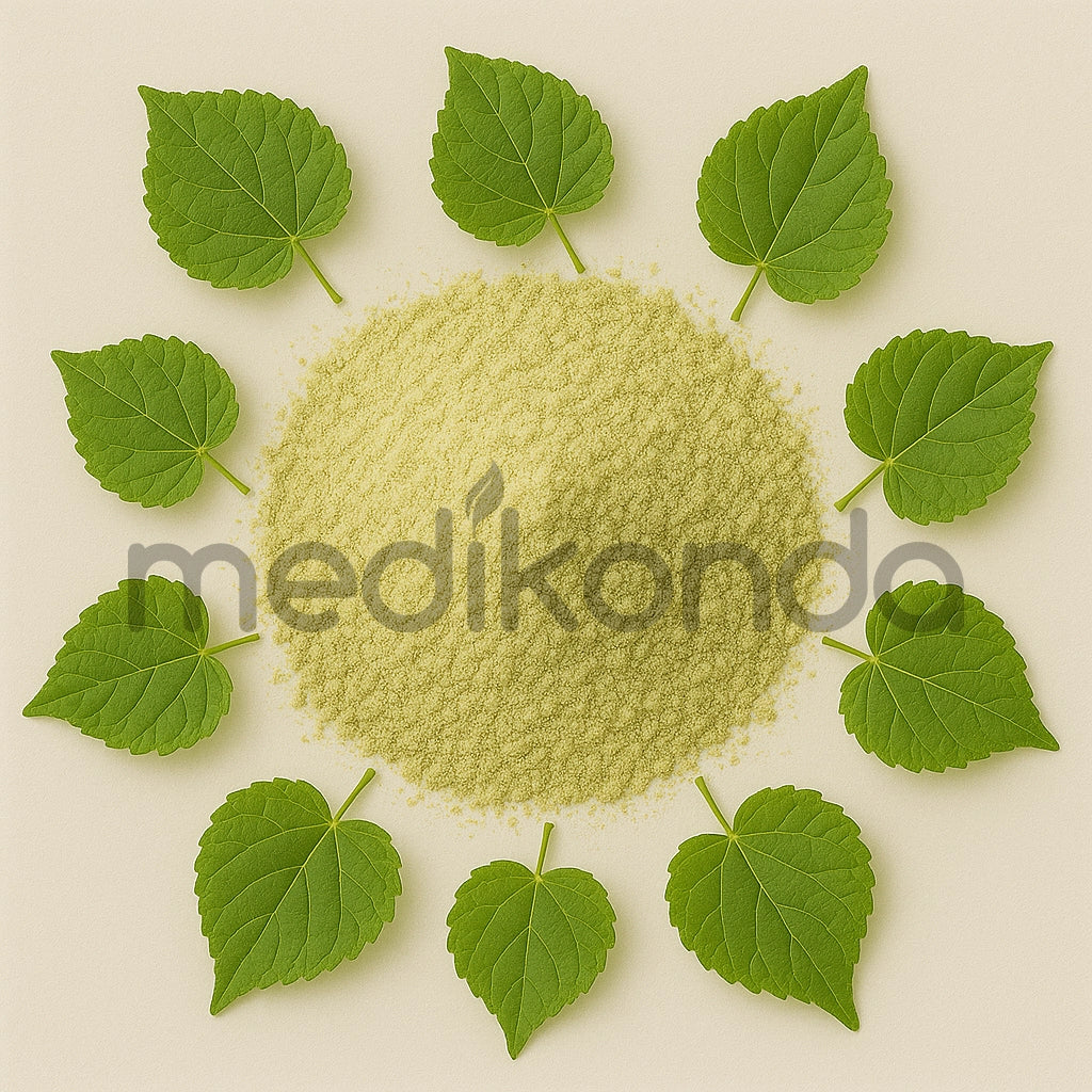 Abuta Grandifolia Extract Powder