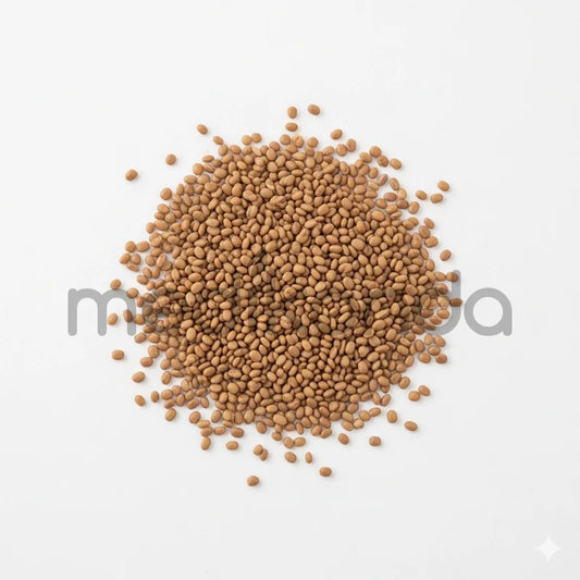Alfalfa Seeds