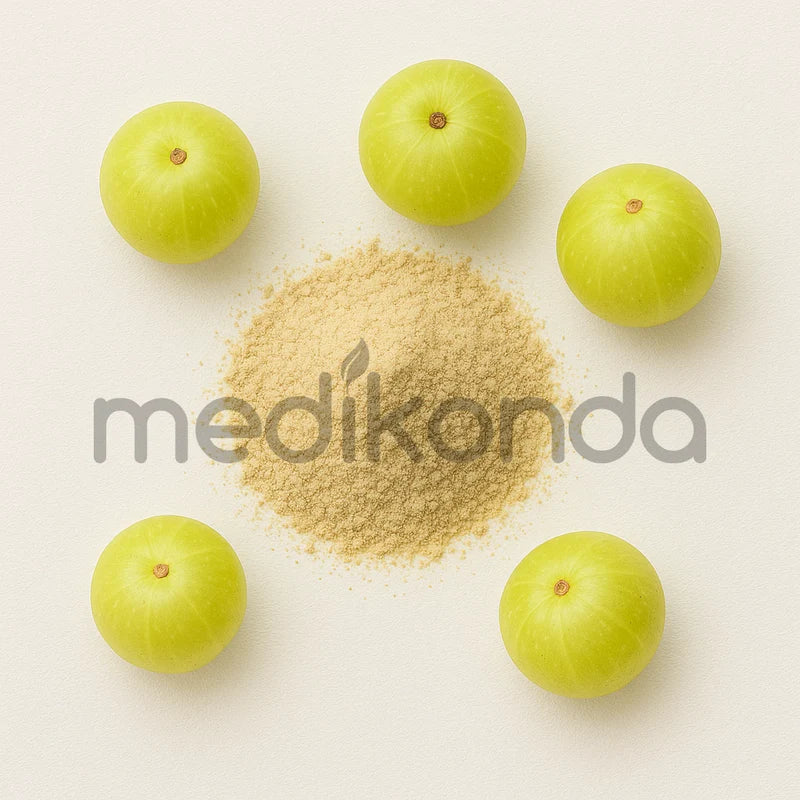Amla Extract Powder