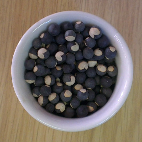 Balloon Vine Seeds