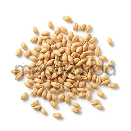 Barley Seeds