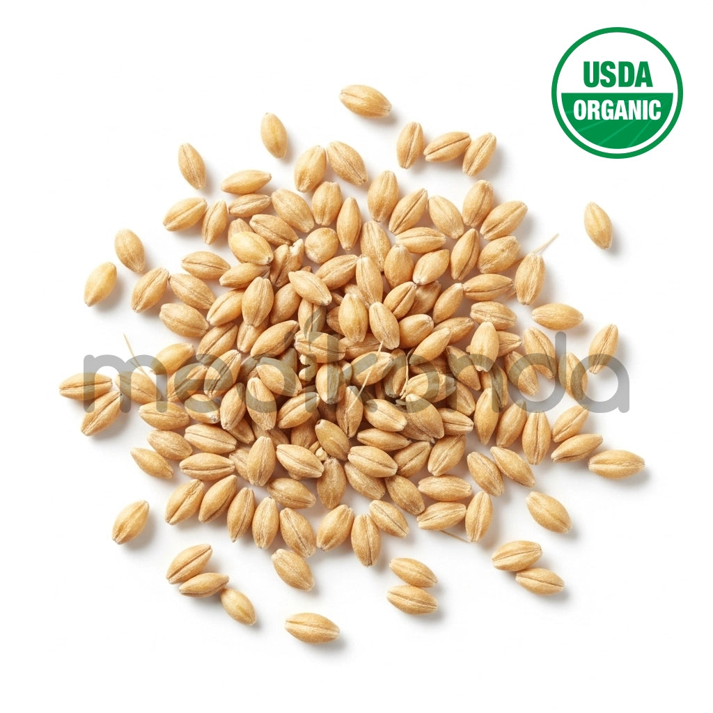 Barley Seeds