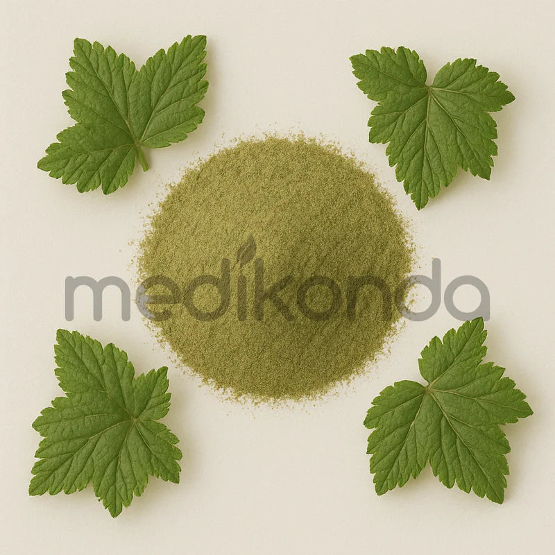 Black Currant Leaf Powder Manufacturers Wholesale Bulk Suppliers in USA ...