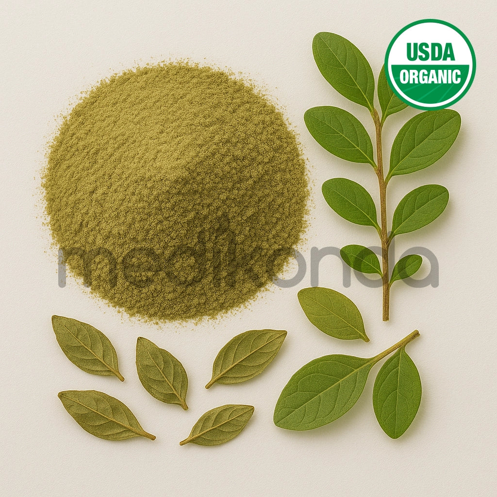 Boldo Extract Powder