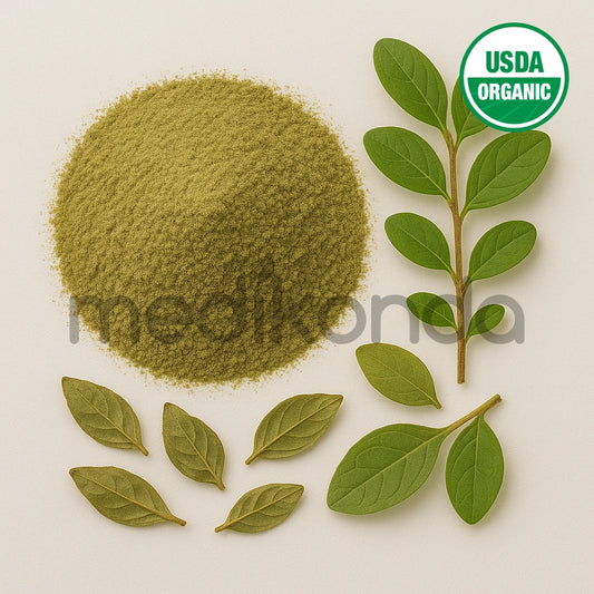 Boldo Extract Powder