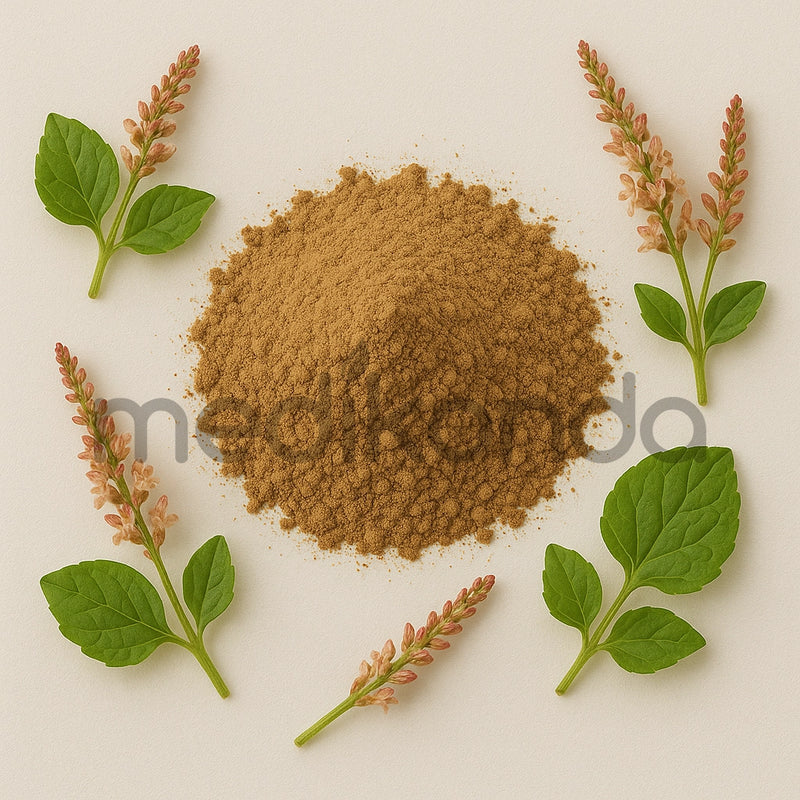 Canaigre Powder