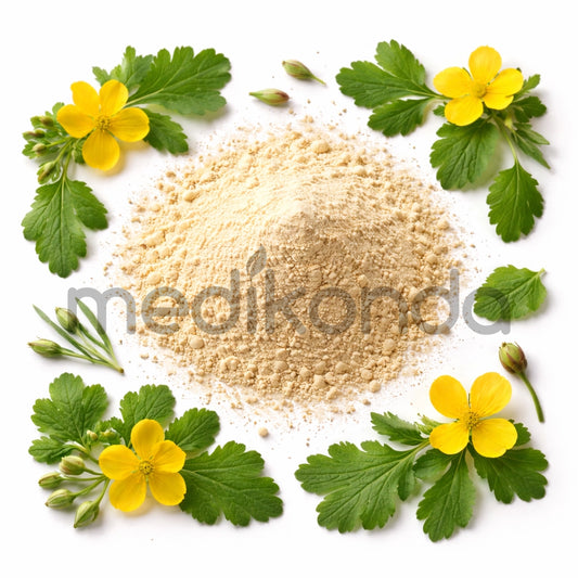 Celandine Extract Powder