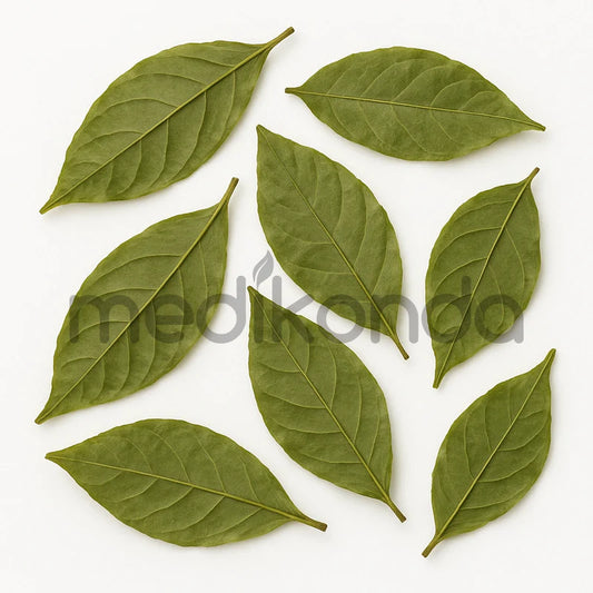 Chacruna Dried Leaves