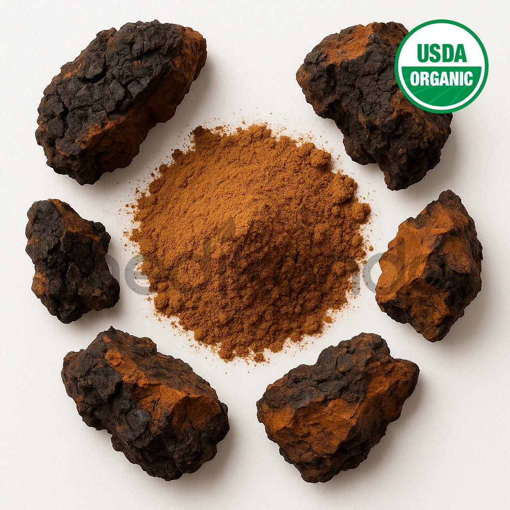 Chaga Mushroom Extract Powder